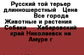 Русский той-терьер длинношерстный › Цена ­ 7 000 - Все города Животные и растения » Собаки   . Хабаровский край,Николаевск-на-Амуре г.